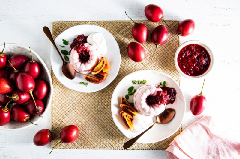 Tamarillo Ricotta Semifreddo